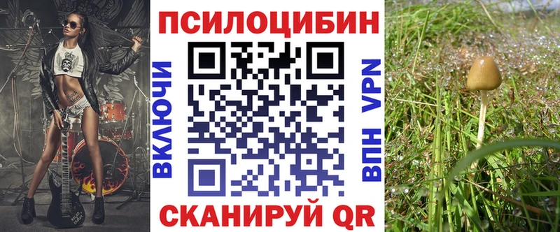 Купить закладки  Пучеж  Галлюциногенные грибы Psilocybe 